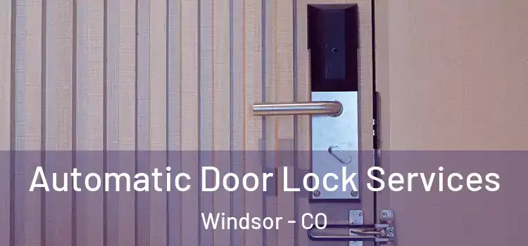 Automatic Door Lock Services Windsor - CO