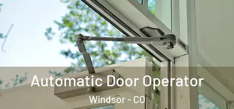 Automatic Door Operator Windsor - CO