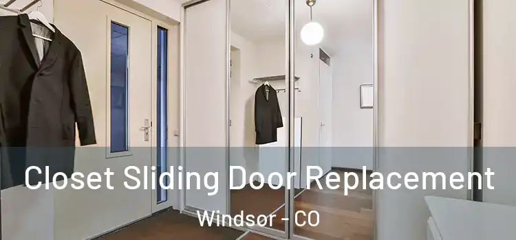  Closet Sliding Door Replacement Windsor - CO