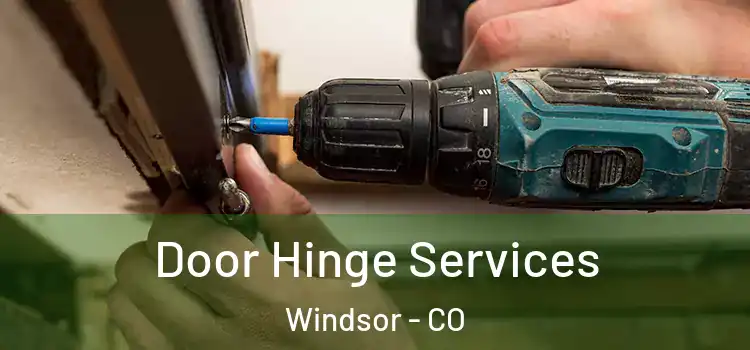 Door Hinge Services Windsor - CO