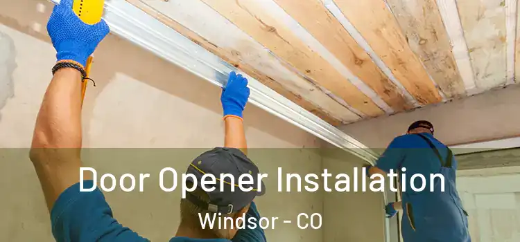  Door Opener Installation Windsor - CO