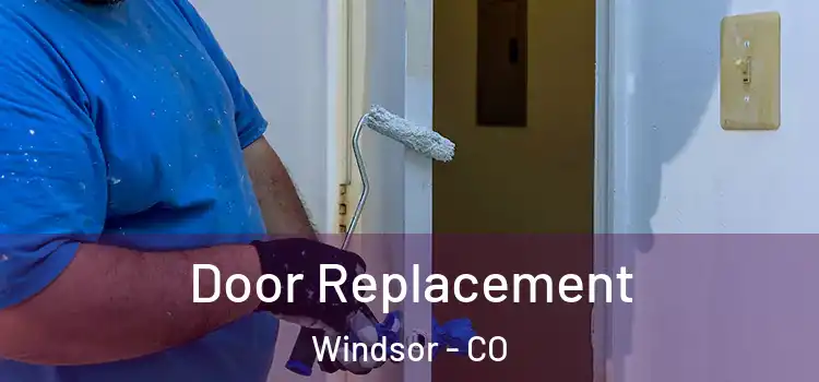  Door Replacement Windsor - CO