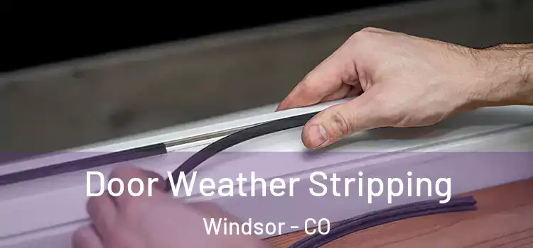  Door Weather Stripping Windsor - CO