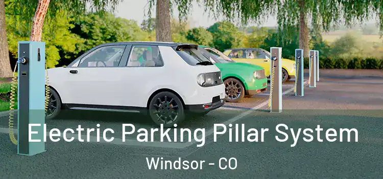  Electric Parking Pillar System Windsor - CO