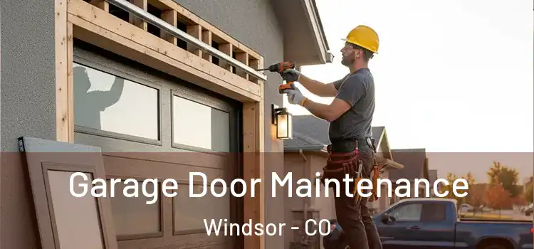  Garage Door Maintenance Windsor - CO