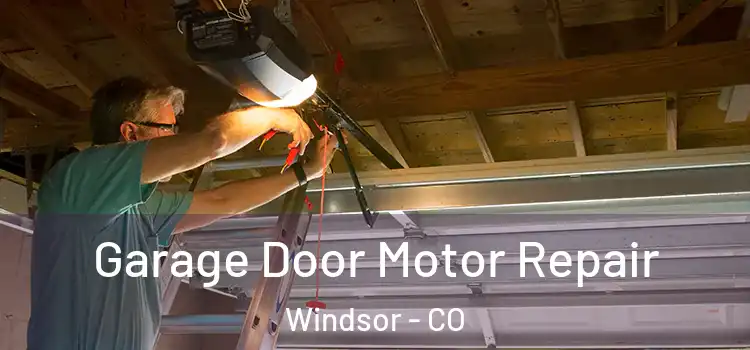  Garage Door Motor Repair Windsor - CO