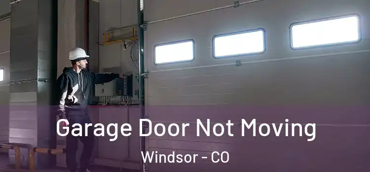  Garage Door Not Moving Windsor - CO