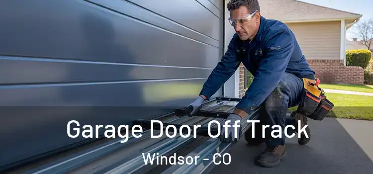  Garage Door Off Track Windsor - CO