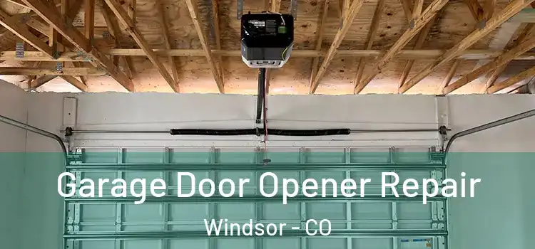  Garage Door Opener Repair Windsor - CO