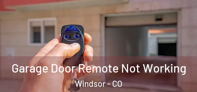  Garage Door Remote Not Working Windsor - CO