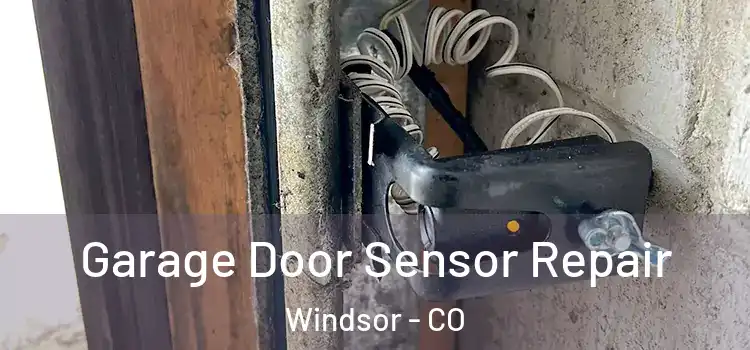  Garage Door Sensor Repair Windsor - CO