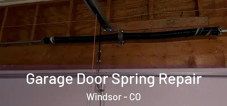  Garage Door Spring Repair Windsor - CO