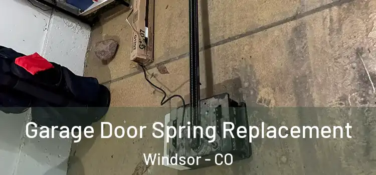  Garage Door Spring Replacement Windsor - CO