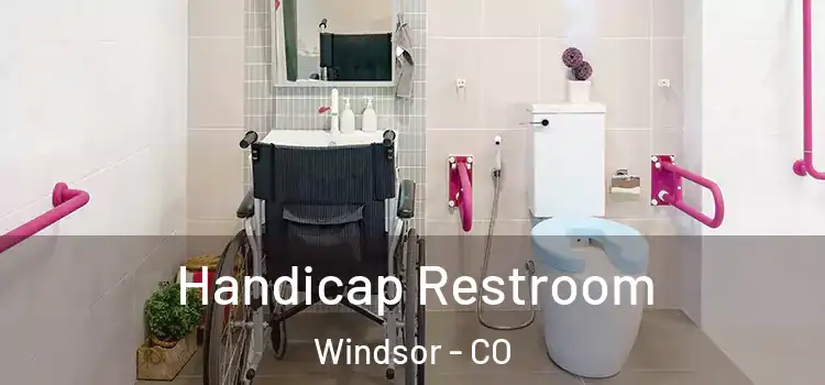  Handicap Restroom Windsor - CO