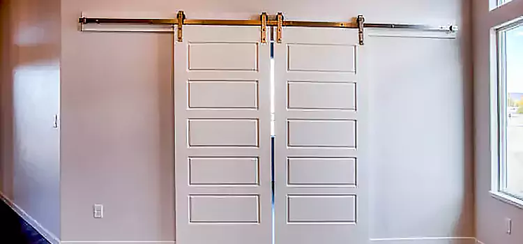 Glass Barn Door with Installation Hardware Kit Windsor