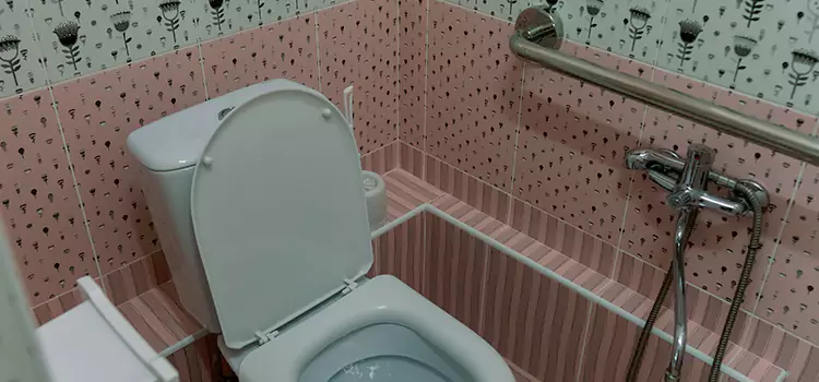 Meeting Diverse Needs With Accessible Restroom Solutions in Windsor, CO