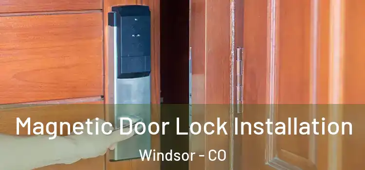  Magnetic Door Lock Installation Windsor - CO