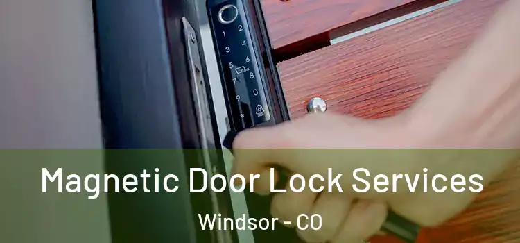  Magnetic Door Lock Services Windsor - CO