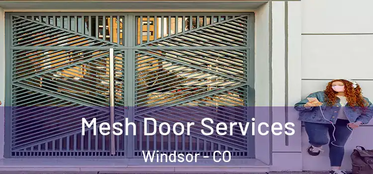  Mesh Door Services Windsor - CO