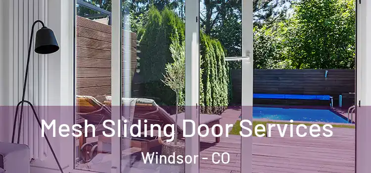  Mesh Sliding Door Services Windsor - CO