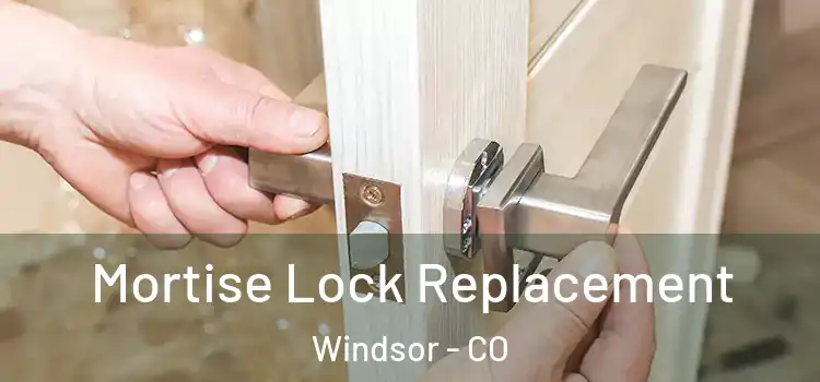  Mortise Lock Replacement Windsor - CO