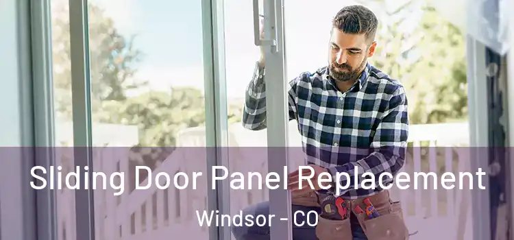  Sliding Door Panel Replacement Windsor - CO