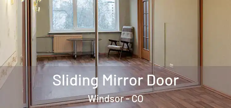  Sliding Mirror Door Windsor - CO