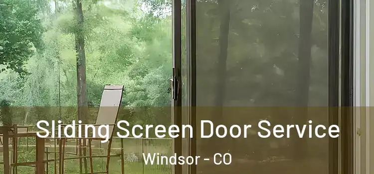  Sliding Screen Door Service Windsor - CO